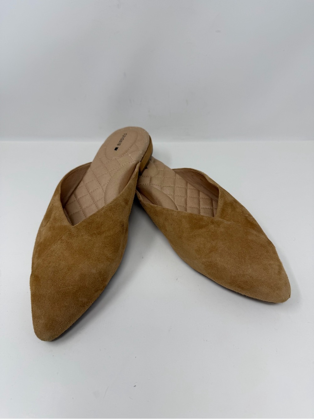 Birdies Swan Suede Mule